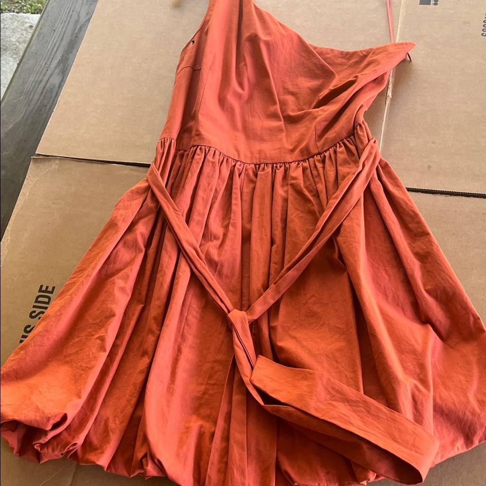 TCEC Rust Orange Sleeveless Tie-Waist Dress